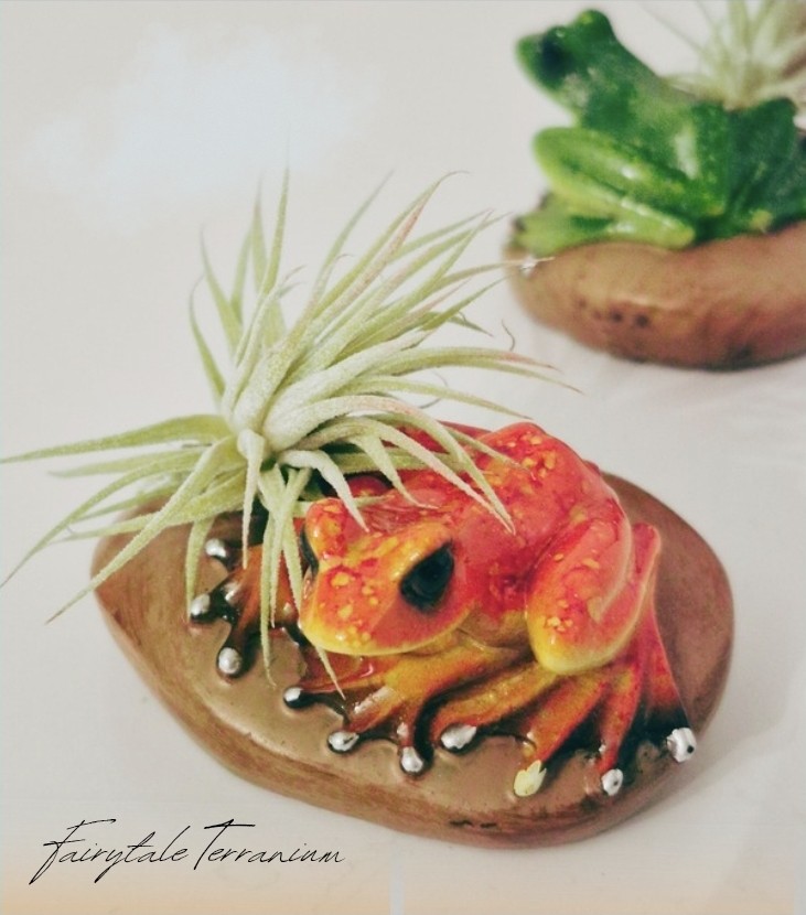 A Fairytale Terranium rainforest frog figurine holding a green tillandsia airplant on a neutral tabletop.